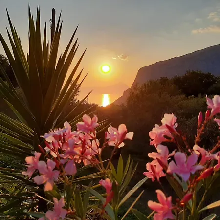 Lulù - Il Vecchio Geco In * Maratea